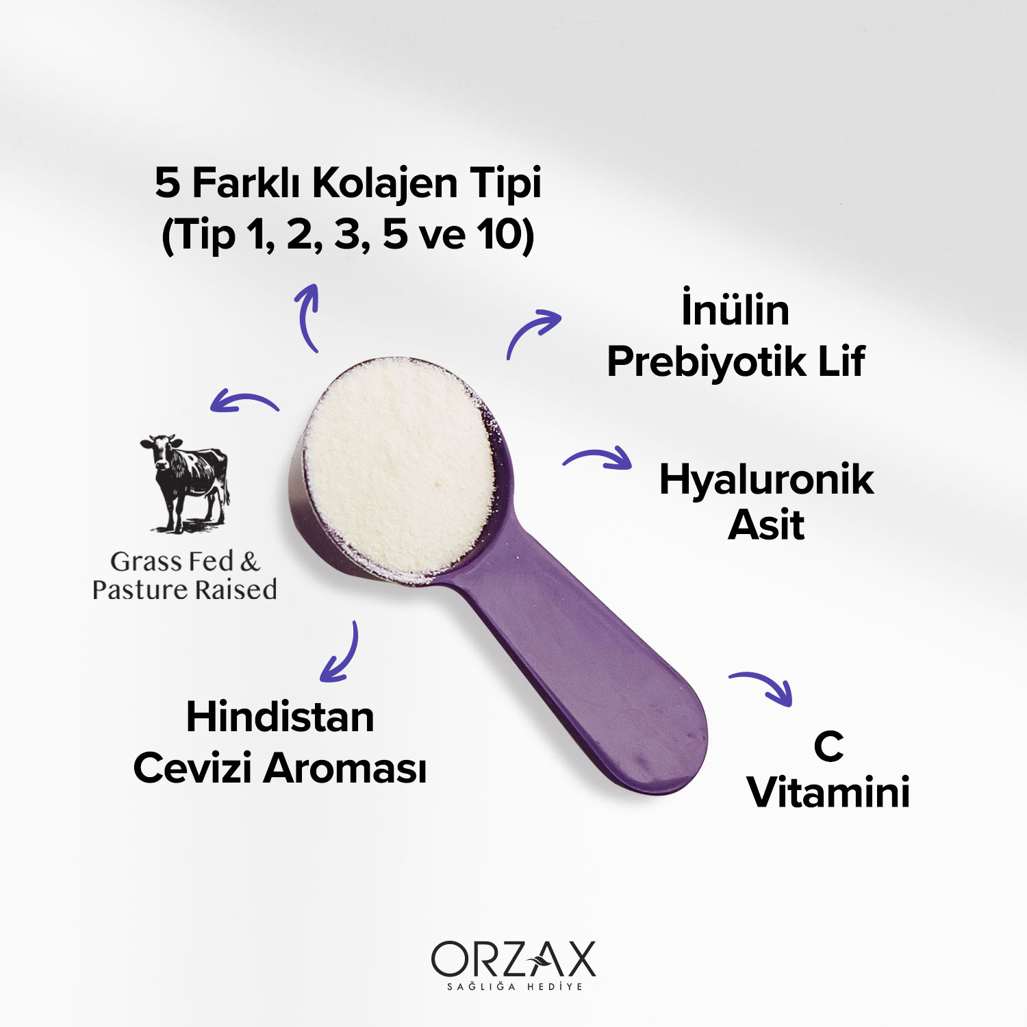 Day2Day The Collagen MultiBalance Day2Day The Collagen MultiBalance - Görsel 3