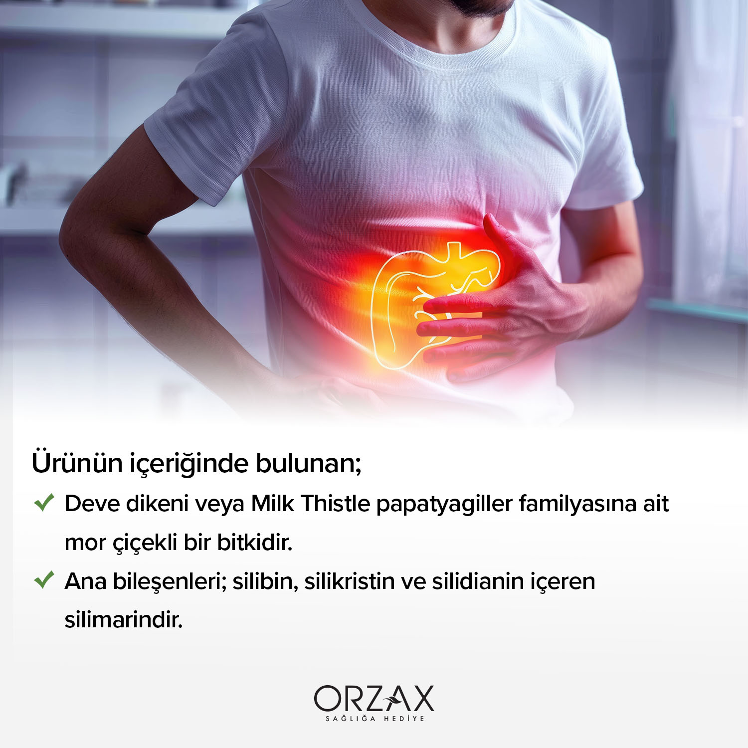 Ocean Milk Thistle Kapsül Ocean Milk Thistle Kapsül - Görsel 4